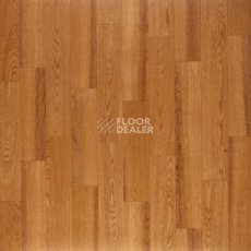 Линолеум Tarkett Discovery California 1 фото 1 | FLOORDEALER